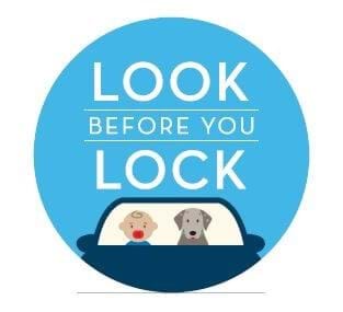 Look Before You Lock